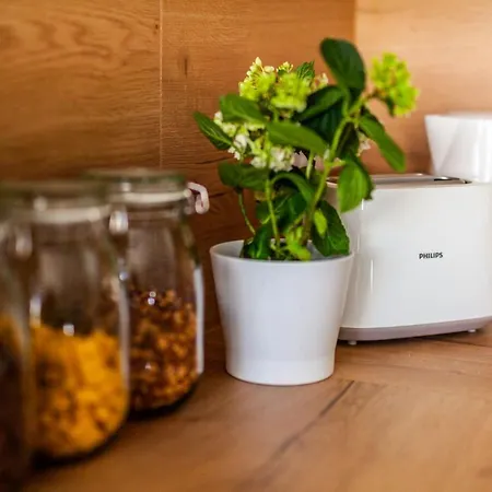 Hangar 19 Grosszuegiges Mit Terrasse Und Garten H4w2 Apartman *